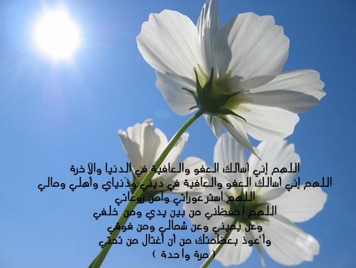 لا اله الاالله والحمدلله والله اكبر وسبحان الله وبحمده