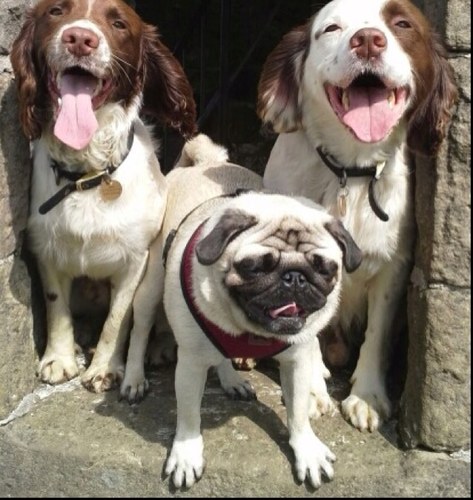 eiieoe's profile picture. Pale, awkward and very very small. Form an orderly queue, gents.