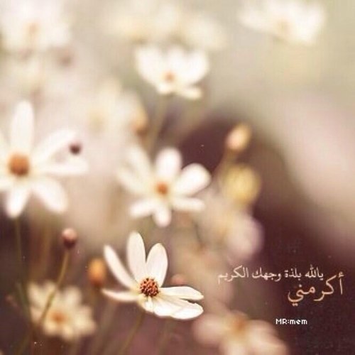 tsabee7_99's profile picture. ( وذكر فإن الذكرى تنفع المؤمنين ) نغرد بذكر الله وبكل ما ينفع في الدارين أسأل الله الفائدة والأجر لي ولكم نرجو دعم الحساب فولو + ريتويت