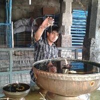 Ashis (@patiashis) 's Twitter Profile