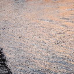 ScunnyArts's profile picture. .