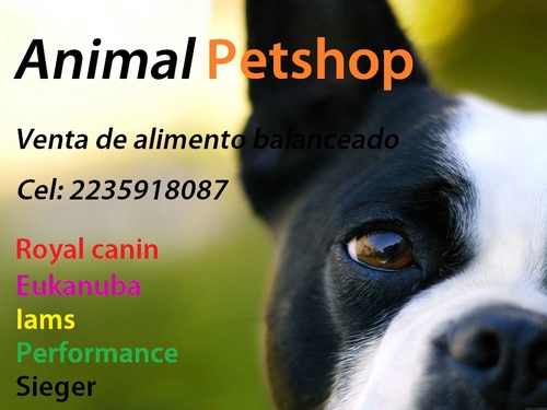 Venta de alimento balanceado, el mejor precio en las mejores marcas! Envios a domicilio sin cargo segun la zona! contactenos al cel/whatsapp: 2235918087 ... MDQ