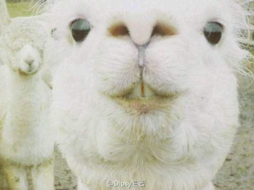 Testing 123 Testing 123