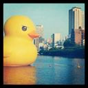 John Chew - @jahnchew - Twitter