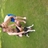 ajsmith0508's profile image