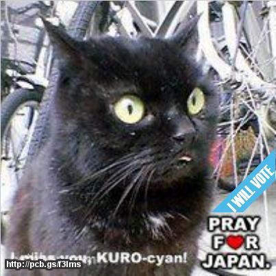 黒猫ぽちです。日々の風景、お散歩、食べ物、下手なダジャレ、などについての呟きが多く、有用有益な呟きは期待薄。映画と読書（江戸時代モノ）が大好きです。twitteは『繋ぐ手段』。ある極秘？組織の所属ですが、発言は全てボク個人のもの。組織を代表する訳じゃないよ（ヒラだし）。なにはともあれよろしくお願いいたします♪