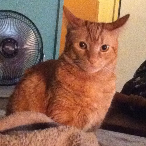 hrthsrth's profile picture. 