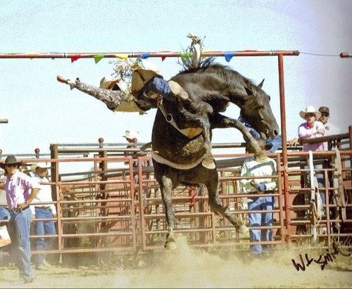 bucklunak's profile picture. I am a Professional Indian Athlete/ Bareback Rider