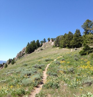 chasatwater's profile picture. 