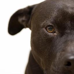 snm59523's profile picture. 