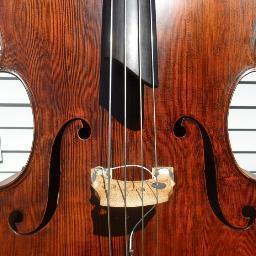 Playing the contrabass leads to problems...oh so many problems