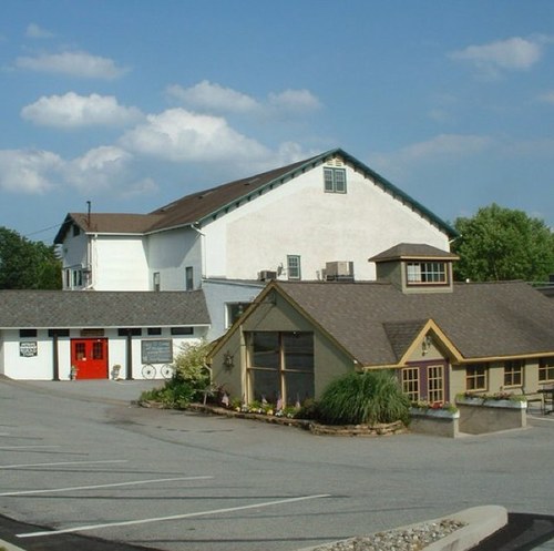 MushroomsCafe's profile picture. 