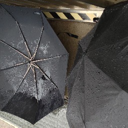 cestkim's profile picture. 