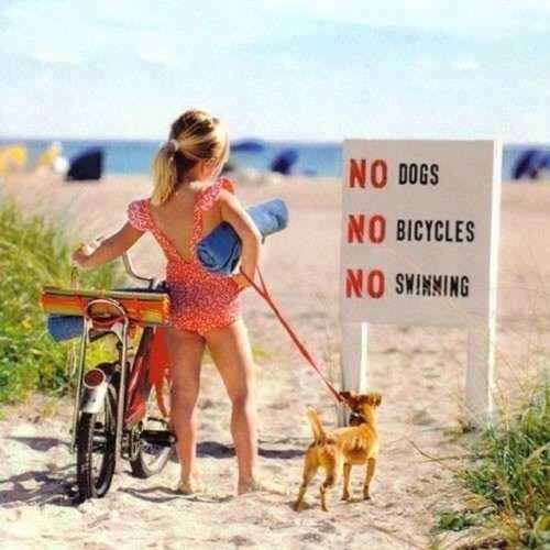 NancyFerger's profile picture. 