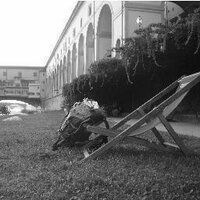 miray sert (@miray_sert) Twitter profile photo