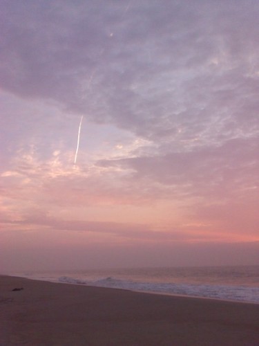 SoozOriginals's profile picture. 