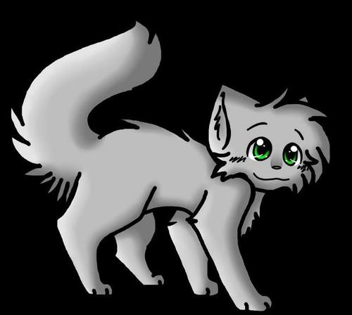 H-hello. Im Silverfang. Im one of @sunclanleader 's kits. Im a tom . B-be warned, Im kinda shy...My mentor is @sandstorm123456 . I have no mate.