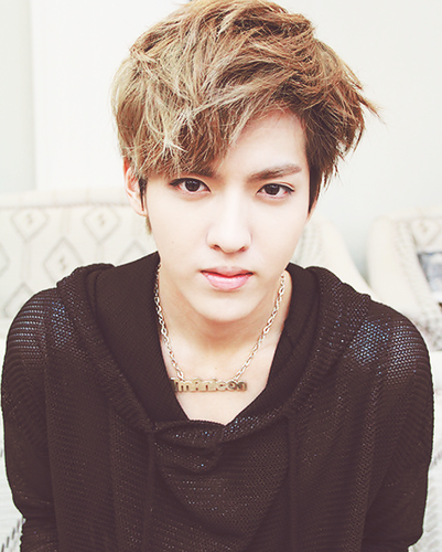 ผม krisจากวง exoนะฮะอาจเมะหน่อยเคะบ้างนะฮะใครชื่นชอบผมติดตามผมได้เลย~