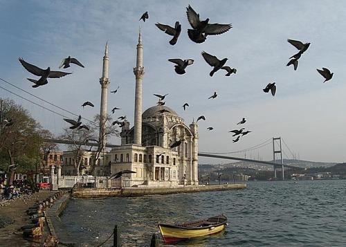 Edebiyat Öğretmeni