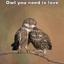 Michelle lapoint - @LapointMichelle - Twitter