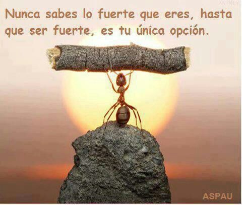 marbelis8's profile picture. 