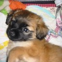 Taylor Brinson - @_TaylorMaid - Twitter