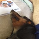 Tom Pemberton - @tompemberton69 - Twitter