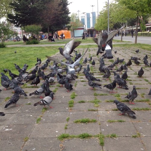 atsaky's profile picture. 