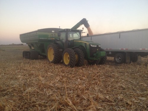 FritzscheJoe's profile picture. 