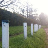 Megan Clausen (@meganclausen) 's Twitter Profile Photo