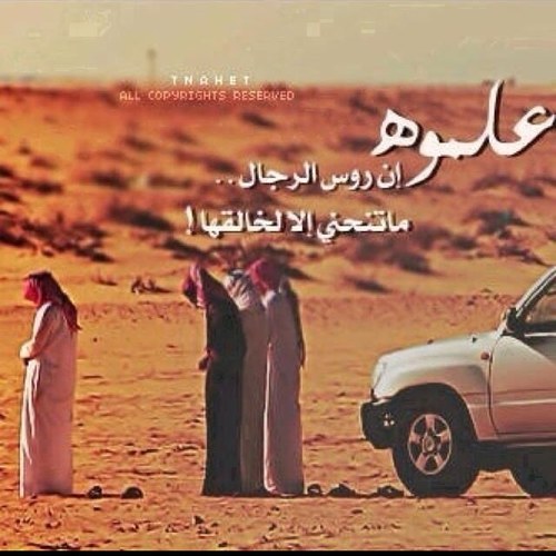 السَعادة : شُعور يتضحم بَعد كُلّ سُجود .. ❥• ▂▂▂▂▂▂▂