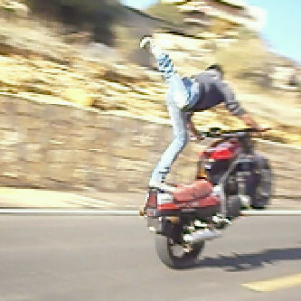 1_omaromar's profile picture. DJ BASH∞ , moto driver              bmw,speed,drifting all my life