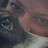 lfortini's profile image