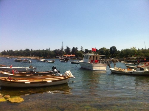 okocak67's profile picture. 