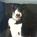 dawn bacon - @dawnbacon2 - Twitter