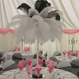 DecorforEvents's profile picture. Decor for Events, professional venue stylists. North of England wedding award finalist, chaircovers & sashes, Twinkle Backdrops, Table Skirtings, Twinkle Archwa