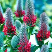 VDVKarentje's profile picture. mama van 3 fantastische kids