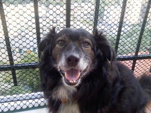 strofuggi's profile picture. Fiera di me stessa,sempre