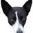 BradWeese's profile image