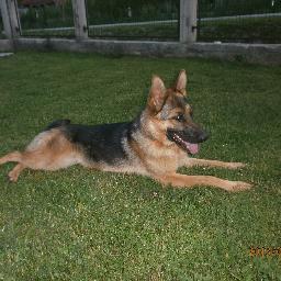 Bytetech5's profile picture. 