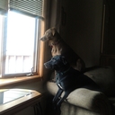 Patrick Wildes - @cubspw - Twitter