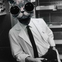 Sal Vitti (@sal_vitti) 's Twitter Profile