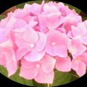 Ramon Alba - @ralba1955 - Twitter