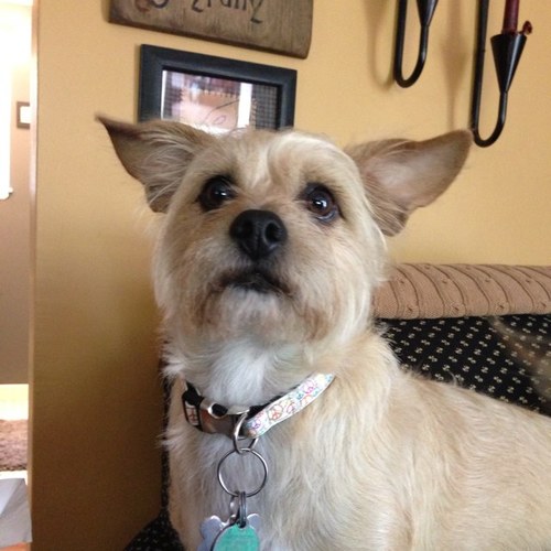 Jackstack47John's profile picture. 