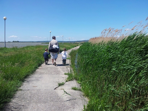 K_Bedoe's profile picture. 