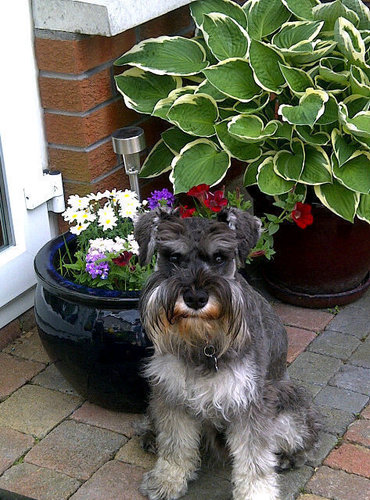 rcous's profile picture. 