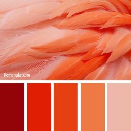 withpalettes's profile picture. Just palettes