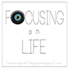 FOLTweeting's profile picture. A caring community for people passionate about photography and life. Visit Dotti, Terri, Carol, Leigh, Deanna, Kelly, Linda, and Cathy as they Focus on Life.