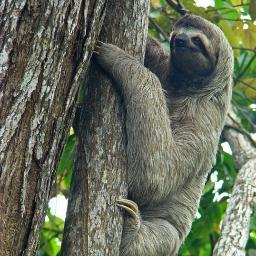 MassaJill's profile picture. The opinions shared on this profile are mine and mine alone-they do not reflect on my workplace or position.