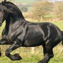 ALFREDO NEGRON - @NEGROALFRI - Twitter